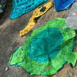 3 Piece New Pool Set 