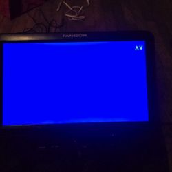 Portable DVD  Player 