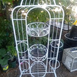 Para Poner  Plants  .....Las Plantas Difertes Presios