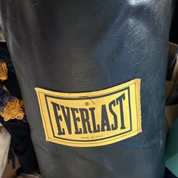 Punching Bag And Gloves 