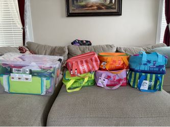 All new Trader Joe’s mini insulated bags