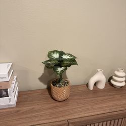 Fake Plant with Ceramic Pot – $15