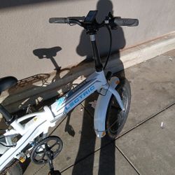 Experience Lectric Bike