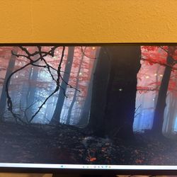 LG UltraGear Monitor 