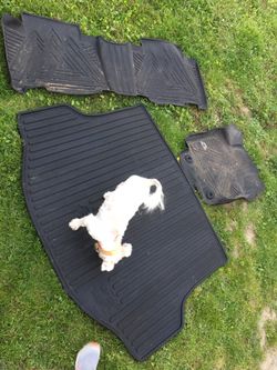 Toyota RAV4 2018 waterproof