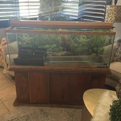 55 Galon Aquarium