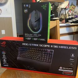 Gamers Keyboard And Mouse 