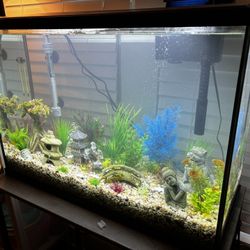 29 Gallon Aquarium
