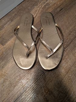 LC Lauren Conrad Gold Flip Flop Sandals