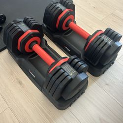 Adjustable Dumbbell Set Up To 55lbs (Barely Used) 