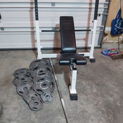 Weight Bench, Olympic Weights And Barbell 