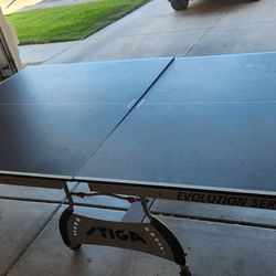 Ping Pong Table