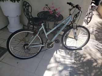 Bike NEEDS TLC