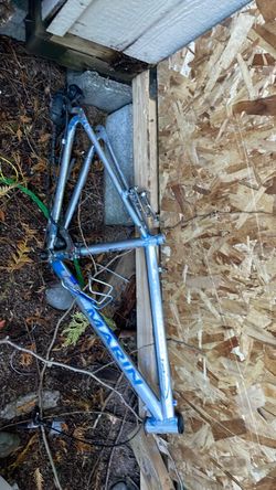 Marin Bike Frame Silver Blue