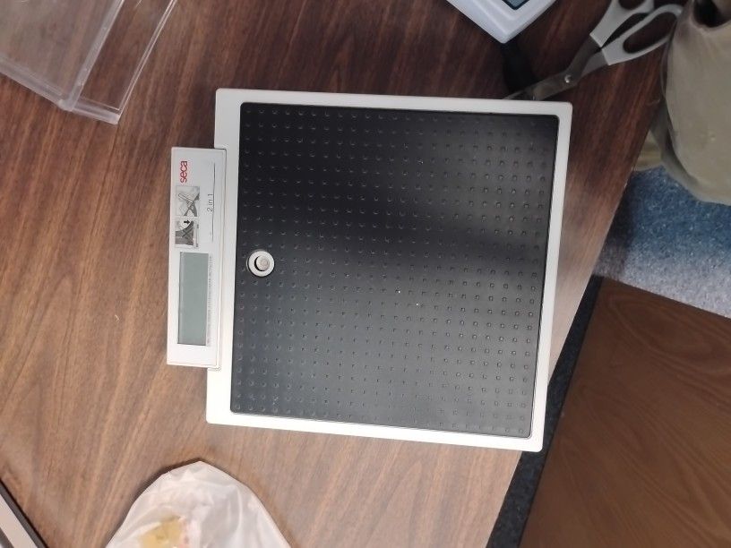 Weight Scale