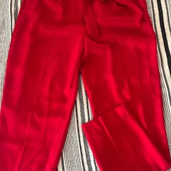 Express Red Pants Size 8
