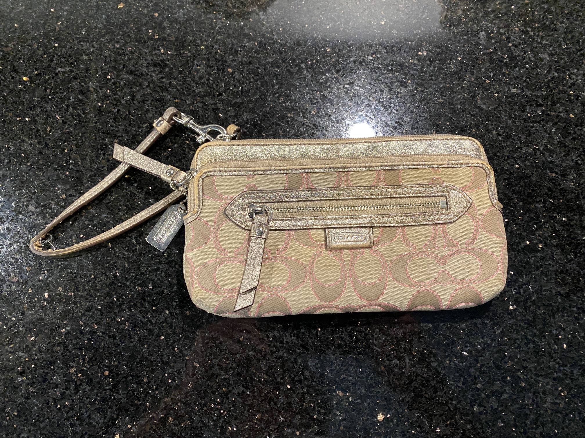 COACH Daisy Metallic Emma Wristlet