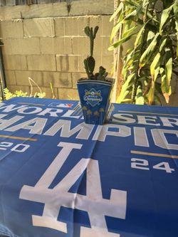 House Plant/ Cactus/ Decor
