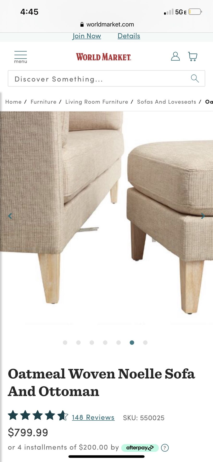 Noelle Couch World Market