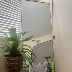 Full Length Mirror W Stand 