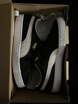 Pumas 6y 