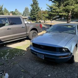 2006 Mustang 