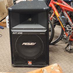 Large Peavey speaker.