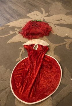 Strawberry girl costumes. Kids Size 4-7