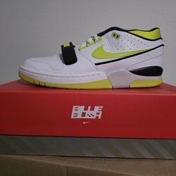 Billie Eilish Alpha Dunks