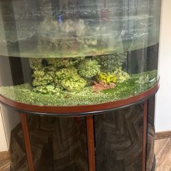 Aquarium