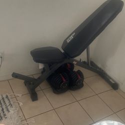 Adjustable Dumbbells  and Bench For Sale
