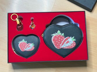 New 2 piece Coach purse set
