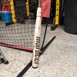 Marucci Echo Connect Fast pitch Softball Bat