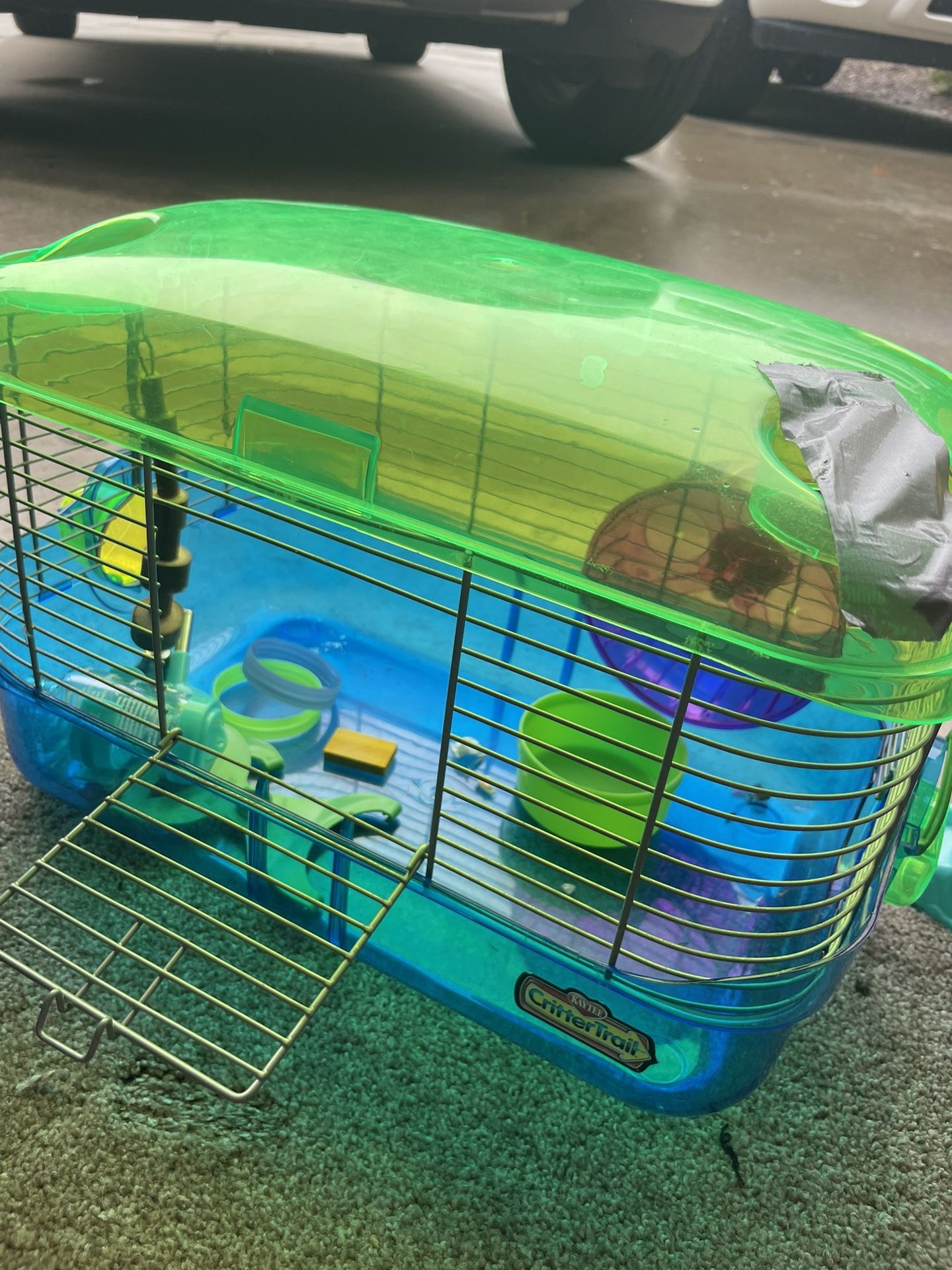 Hamster cages, Toys & Spin Wheel