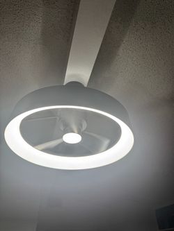 Ceiling fan