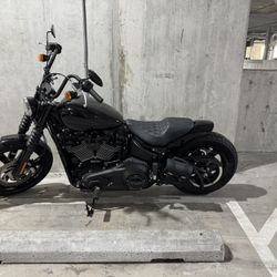 2023 Harley Davidson Street bob