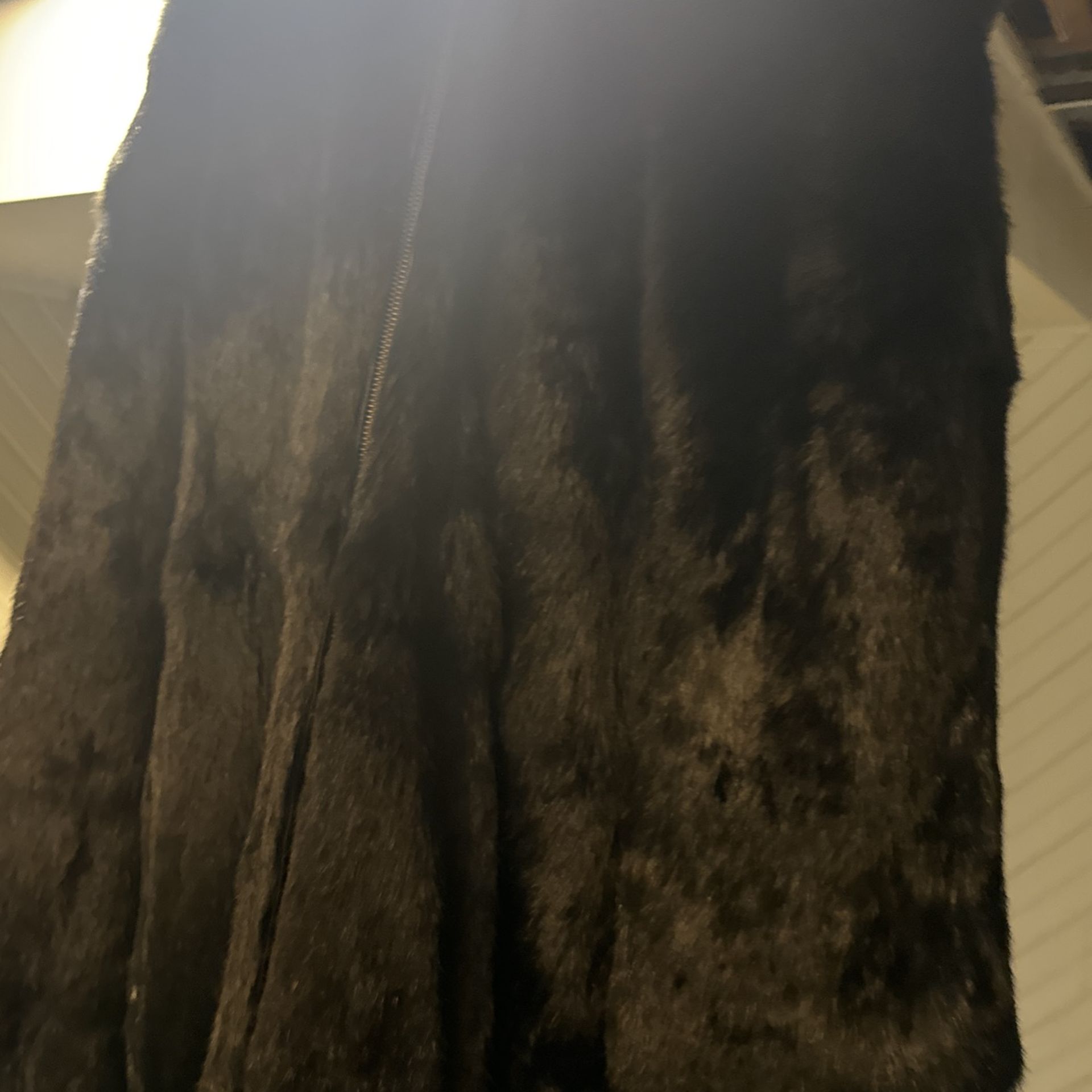 Black Fur ….with The Hood