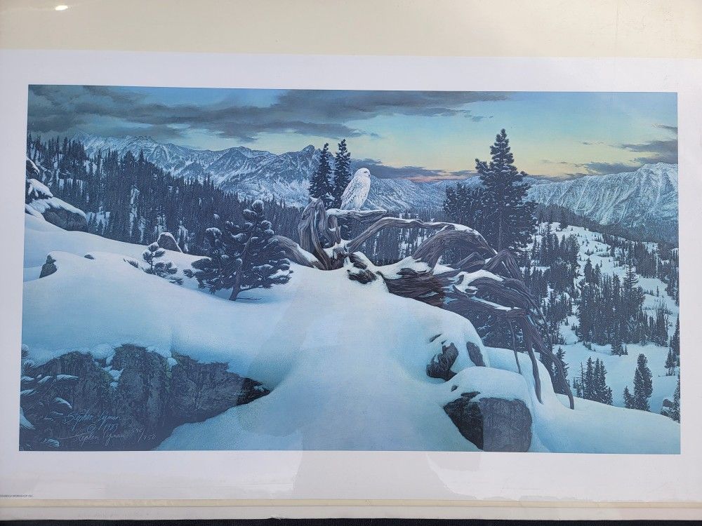 STEPHEN LYMAN EARLY WINTER IN THE MOUNTAINS WILDLIFE-OWL-LIMITED EDITION-ART
#598 out 850 from 1983
Very rare
Seal in original plastic on cardboar