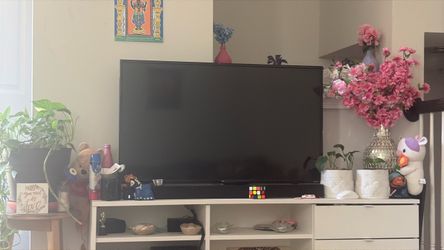 Large Flat Screen TV