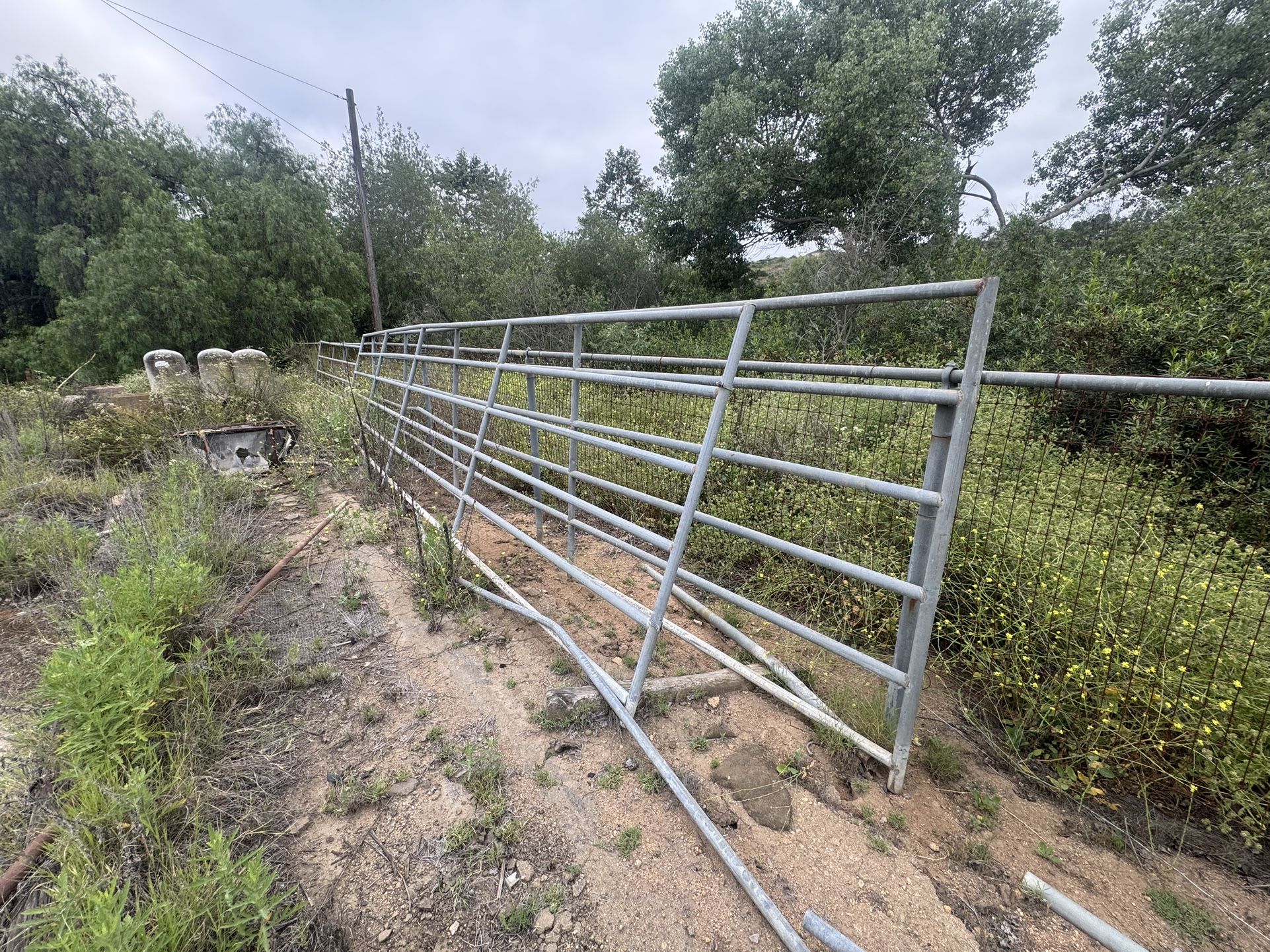 Horses Corral