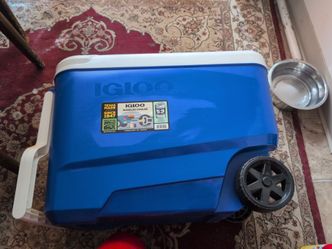 Igloo Cooler