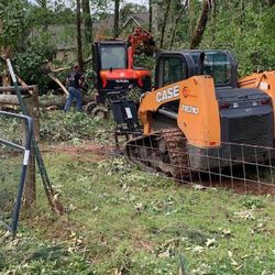 Skid Steer And Mini X