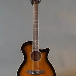 lbanez 12 Acoustic Guitar 