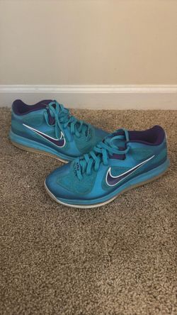 LeBron Hornets Size 9