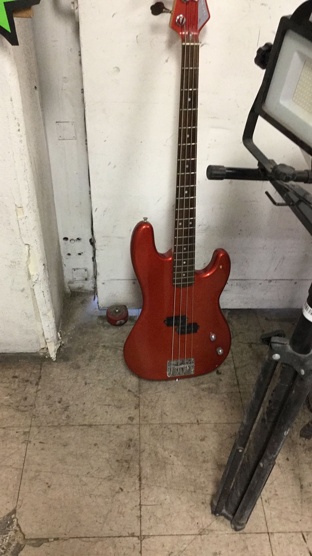 Singer Bass Guitar