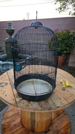 Bird Cage 30" tall