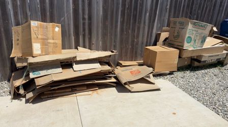 FREE Boxes