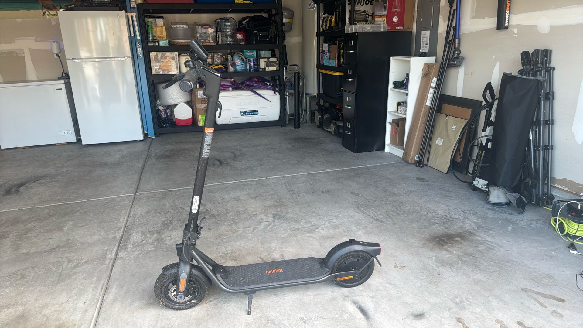 Adult Scooter 