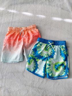 5T Swim Shorts