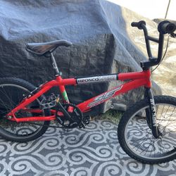 Boy’s SE BMX Bike(20’)